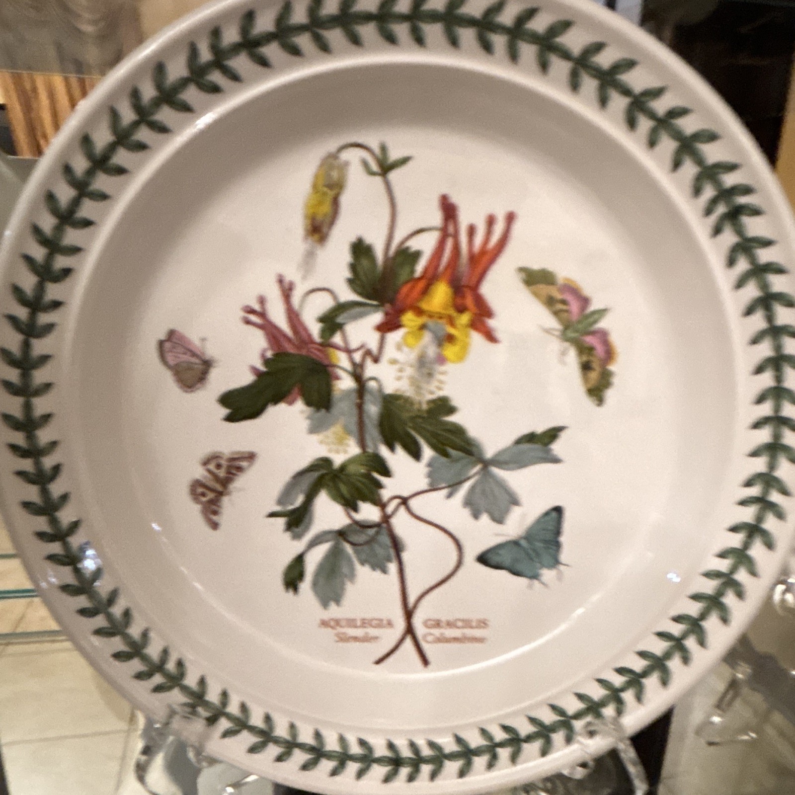 Portmeirion Botanic Garden Dinner Plate Aquilegia Gracilis Slender Columbine