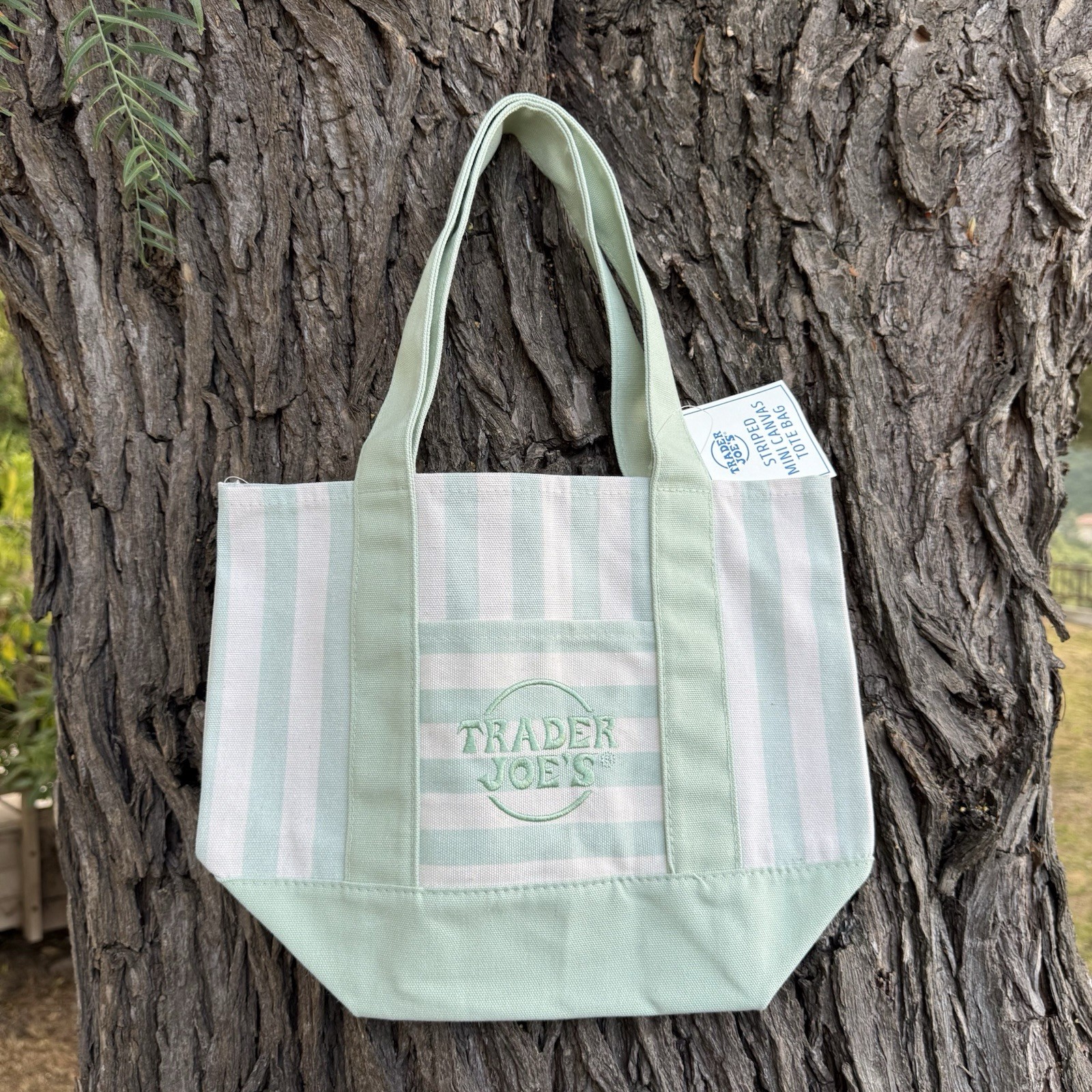 Trader Joe’s Striped Mini Canvas Tote Bag Pastel Green Summer 2026 Limited