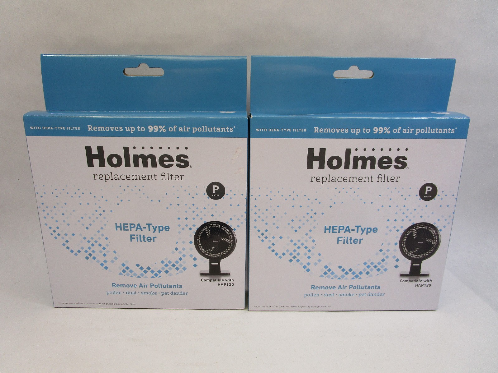 2 Boxes Holmes HEPA Type P Filters for HAP120 Air Purifier – 4 Total Filters