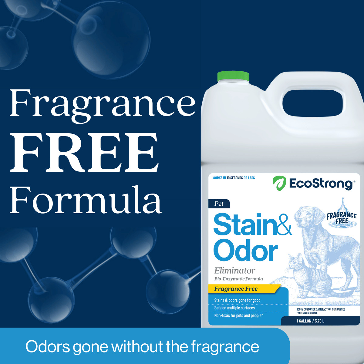 Fragrance Free Stain and Odor Eliminator