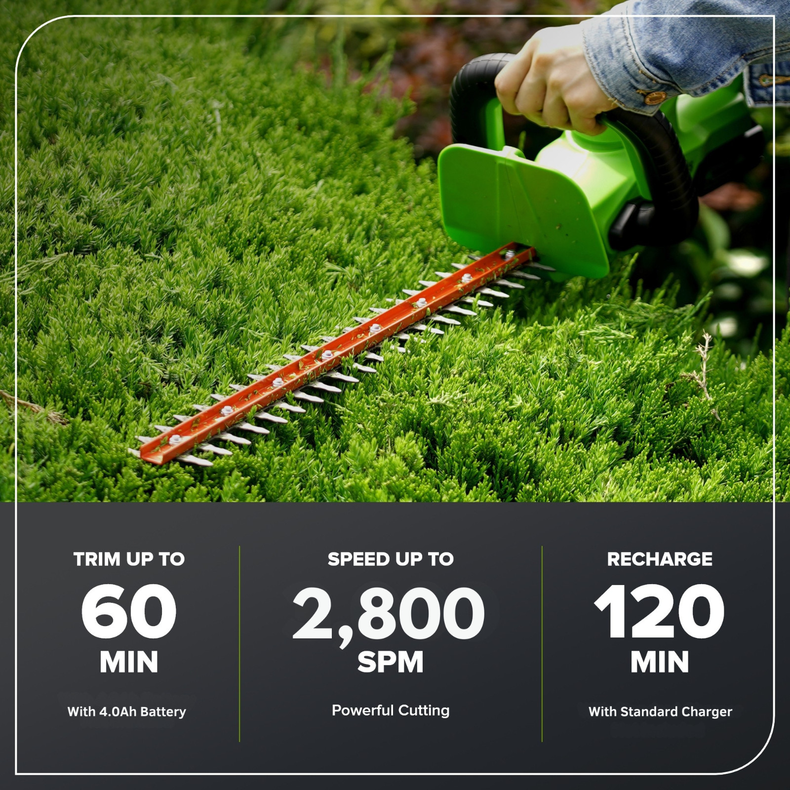 Greenworks 24V 22 inch Cordless Hedge Trimmer with 4Ah Battery and 2A Charger