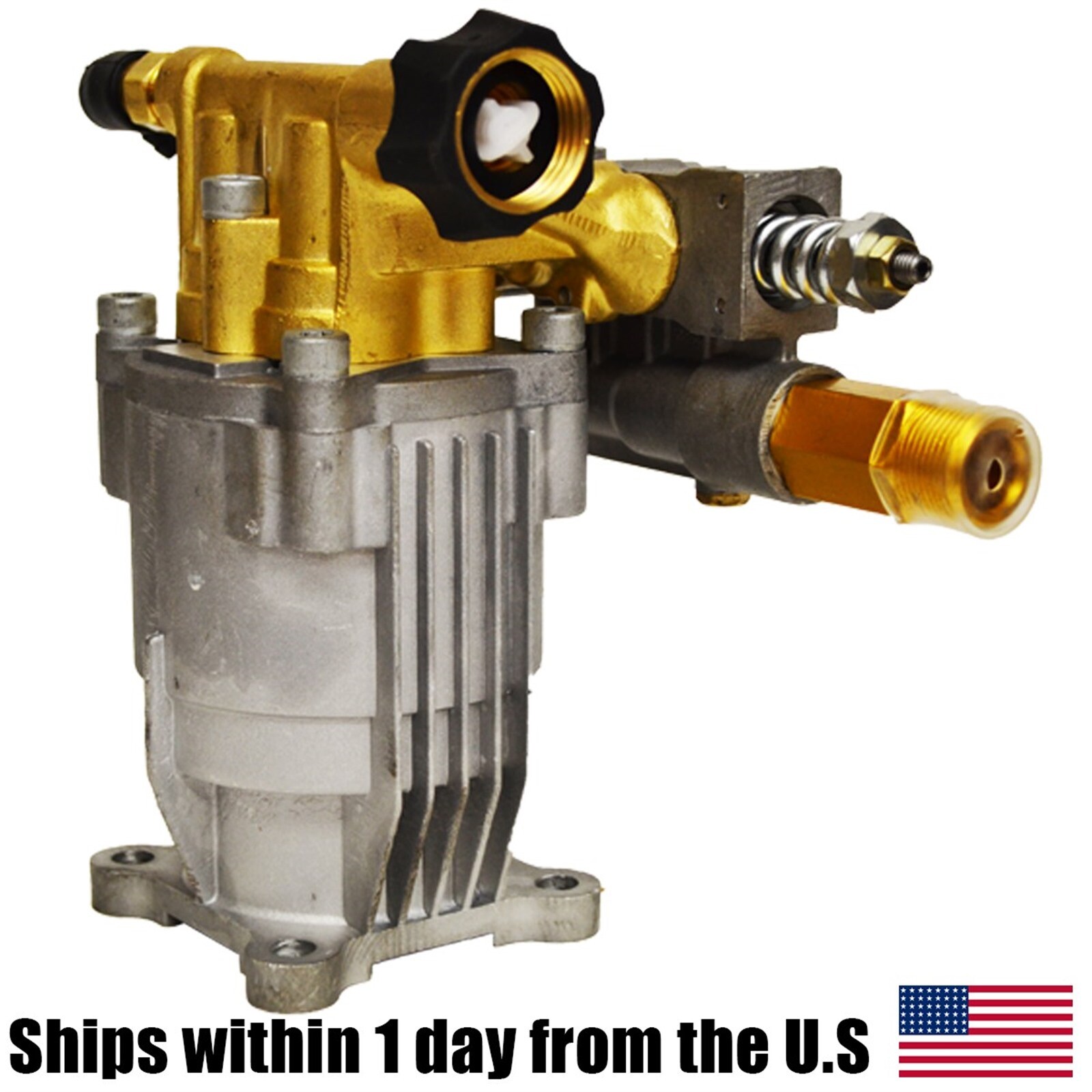Genuine OEM Himore 3000 PSI Pressure Washer Water Pump 309515003 Axial
