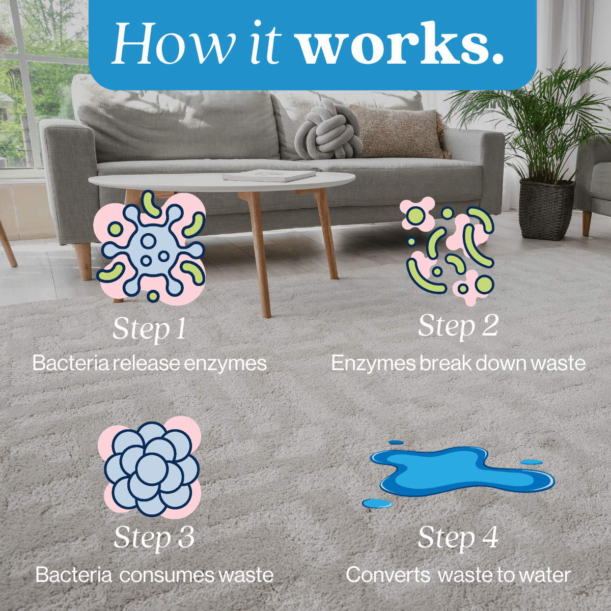 Fragrance Free Stain and Odor Eliminator