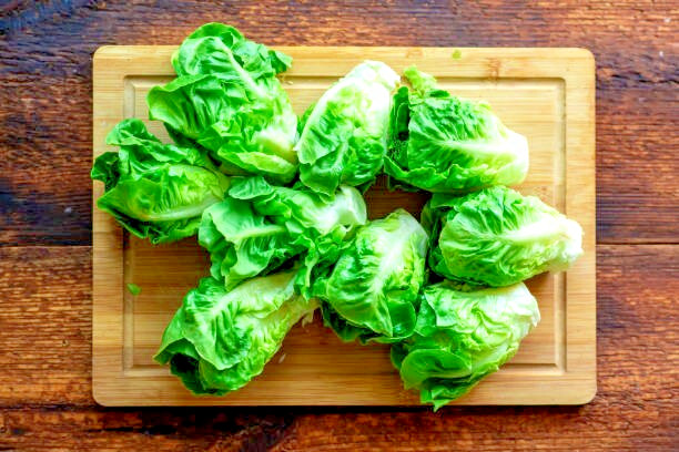 1000 LITTLE GEM BUTTERHEAD LETTUCE SEEDS | SALE FREE SHIPPING NON GMO HEIRLOOM