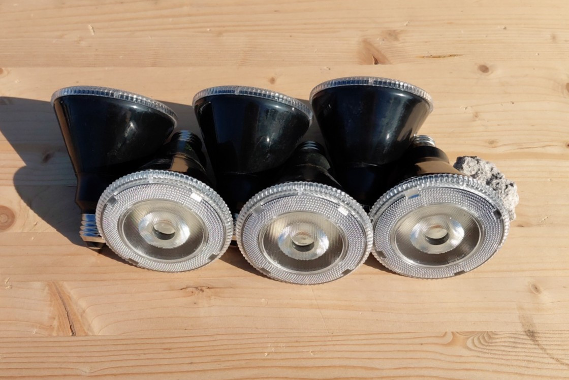 48 Volt Bulb – LED12P30DB48V – 6 Pack