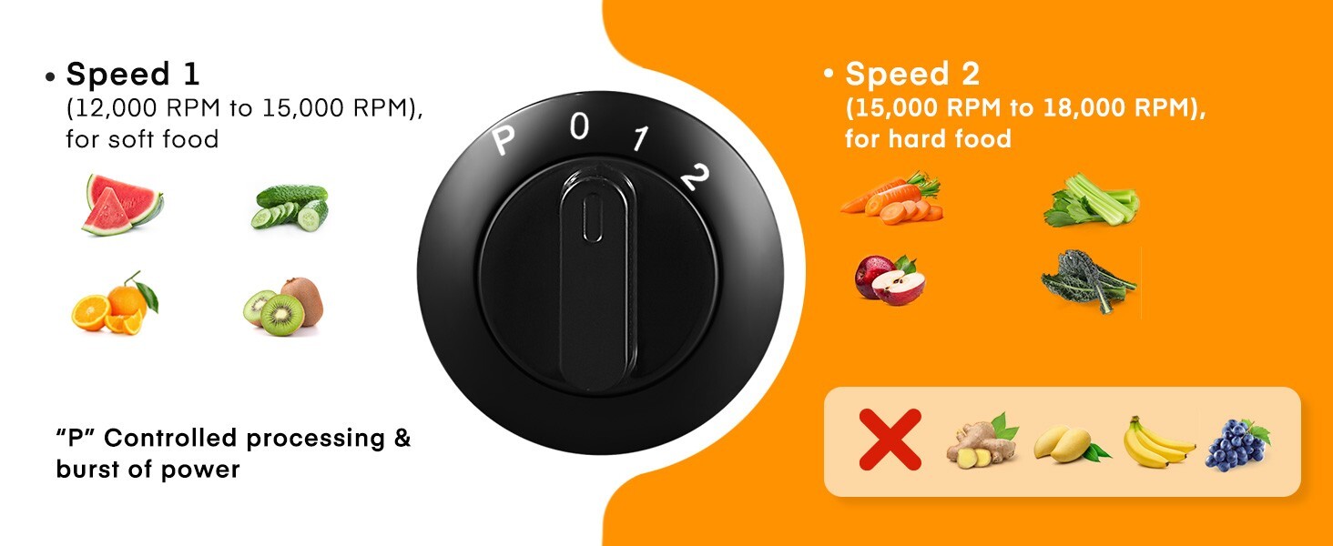 HOUSNAT Whole Fruit and Vegetables with 3-Speed Setting, Upgraded Version