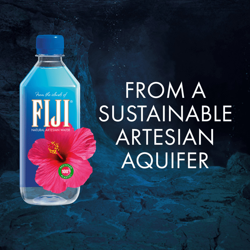 (2 pack) FIJI Natural Artesian Water, 16.9 fl. oz. (Pack of 6 Bottles)