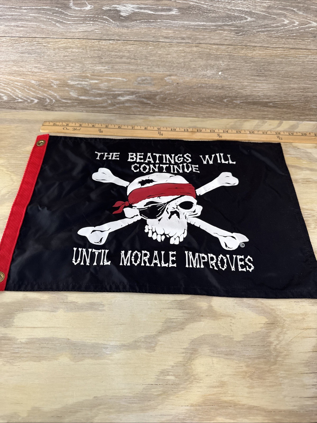 Jolly Roger Pirate Beatings Will Continue Morale Improve Nylon Boat Flag 12×18
