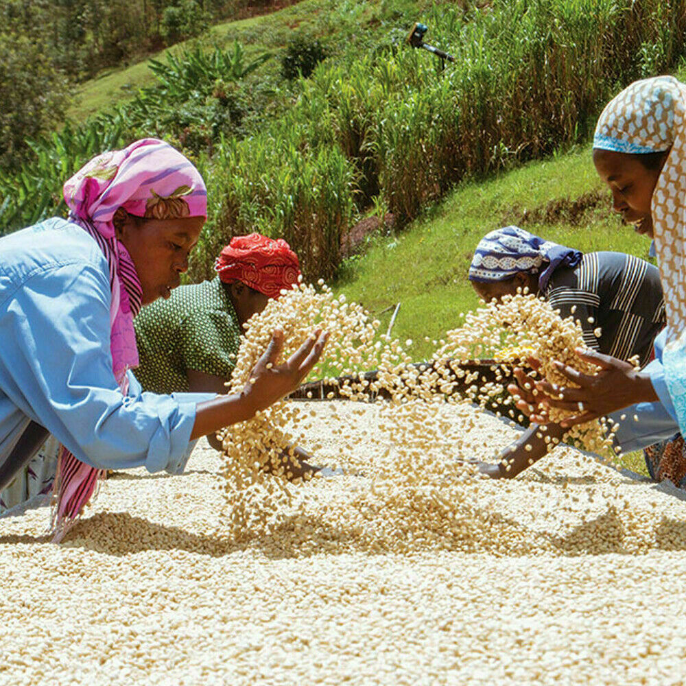 RWANDA COFFEE BEANS MEDIUM ROASTED 2 POUNDS