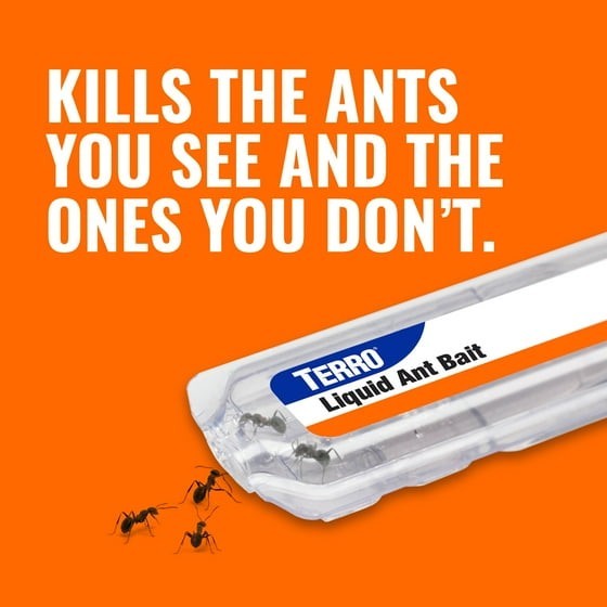 TERRO Liquid Ant Bait Ant Killer 6 Bait Stations 2 Packs