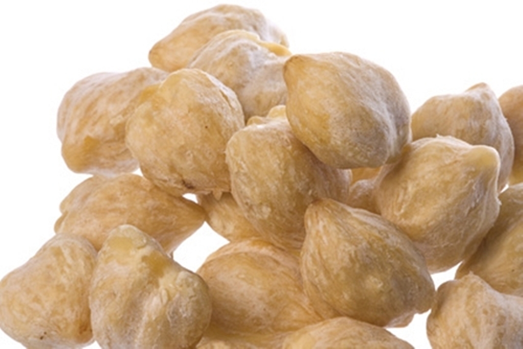 Candlenut Kukui Nut 6oz Candle Nut Aleurites Moluccanus Kemiri