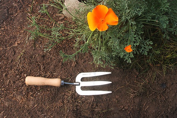Weeding Fork Hand Garden Tool Stainless Steel Wood Handle Gardening Implement