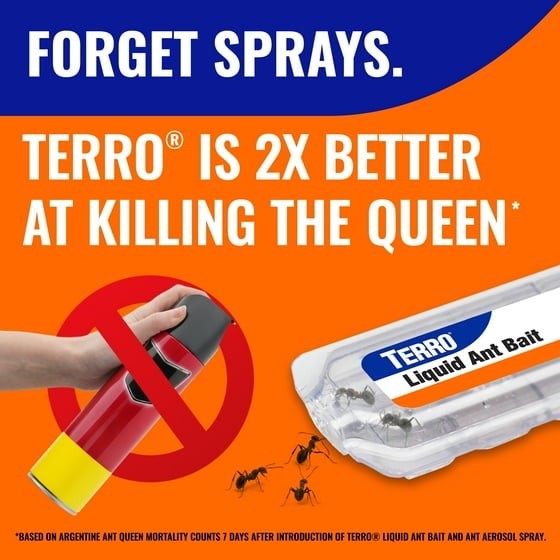 TERRO Liquid Ant Bait Ant Killer 6 Bait Stations 2 Packs