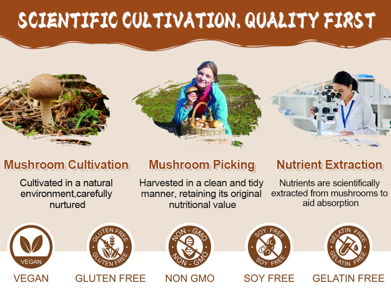 Organic Mushroom Coffee 100% Authentic FREE SHIPPING / Better Than Ryze /No Odor