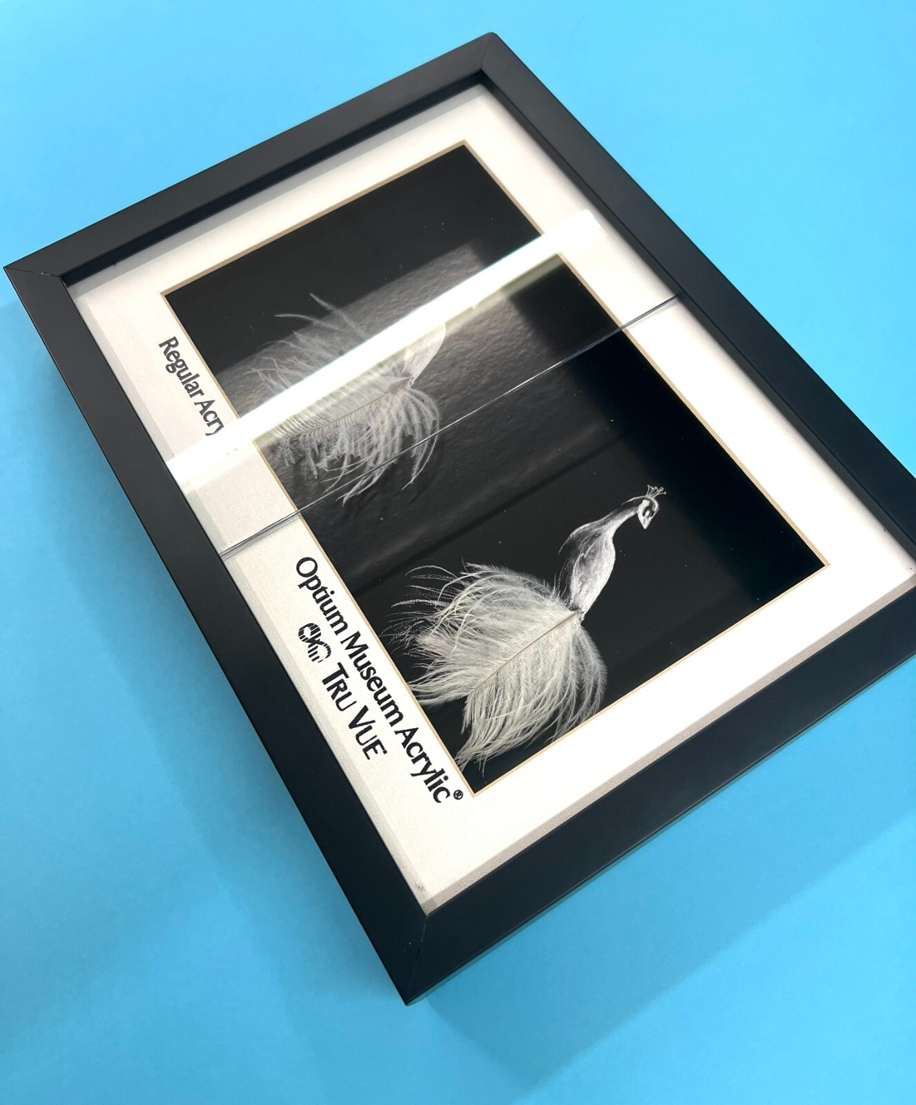 Tru Vue Optium Museum Grade Acrylic Glass Sheet Cover Anti Reflective Archival