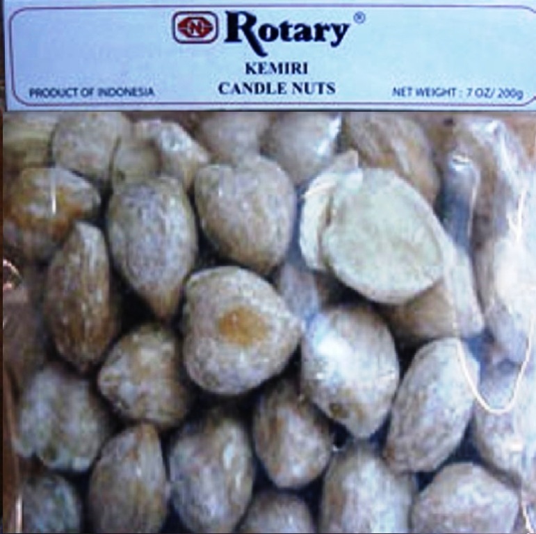 Candlenut Kukui Nut 6oz Candle Nut Aleurites Moluccanus Kemiri