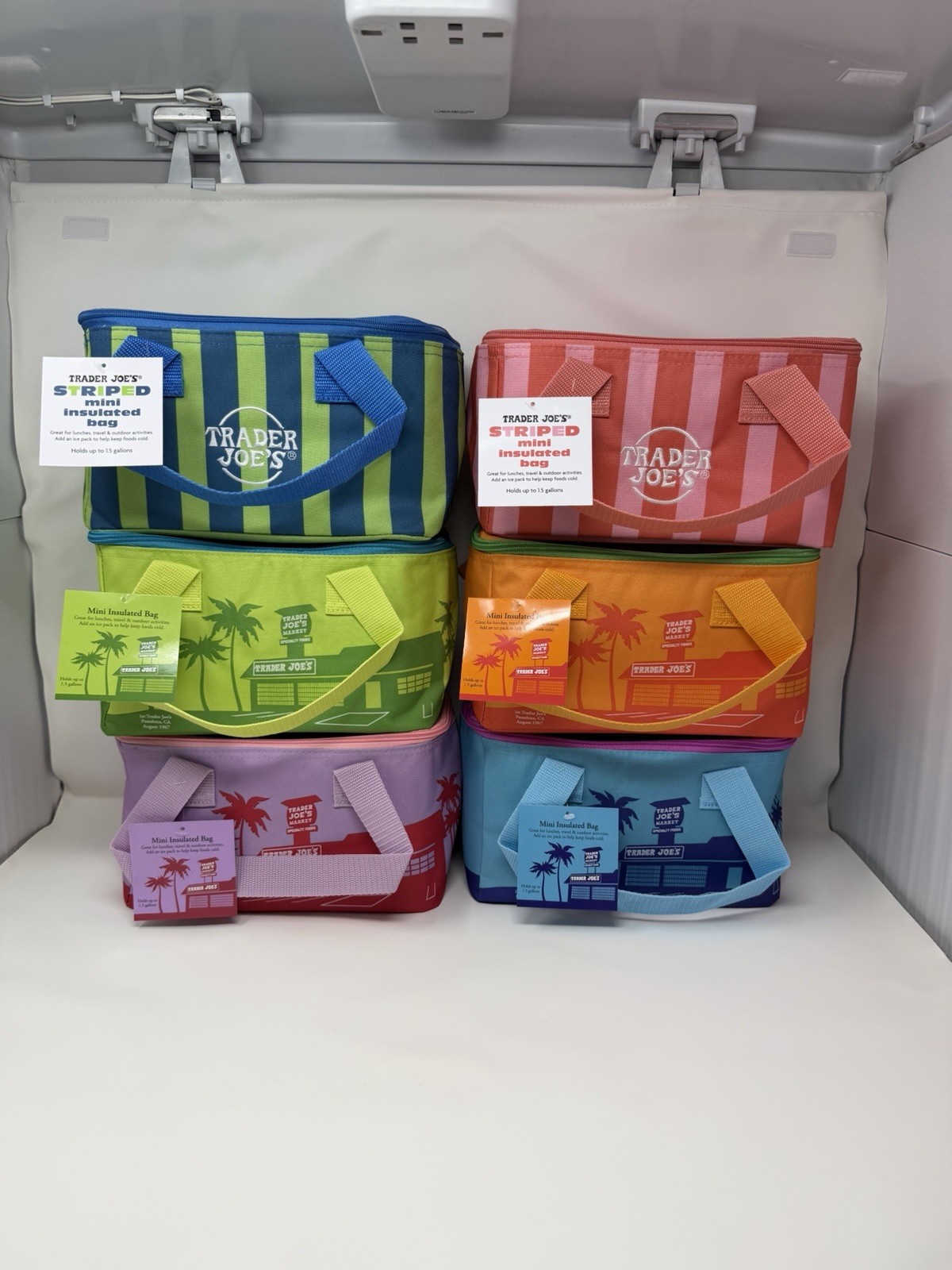 Trader Joe’s Mini Insulated Tote Cooler Bag Summer Collection – Set Of 6