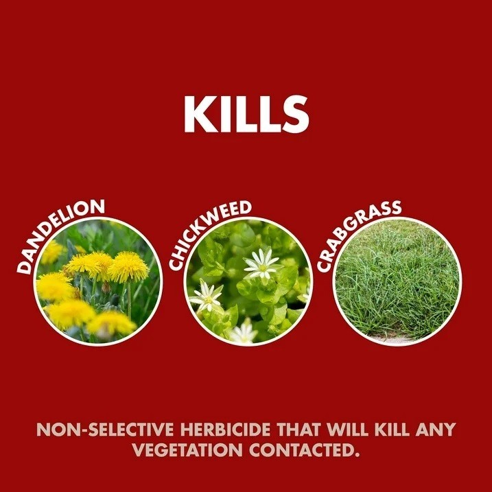 Spectracide Weed and Grass Killer 128 Oz Sprayer Ready-to-use 1 Gallon