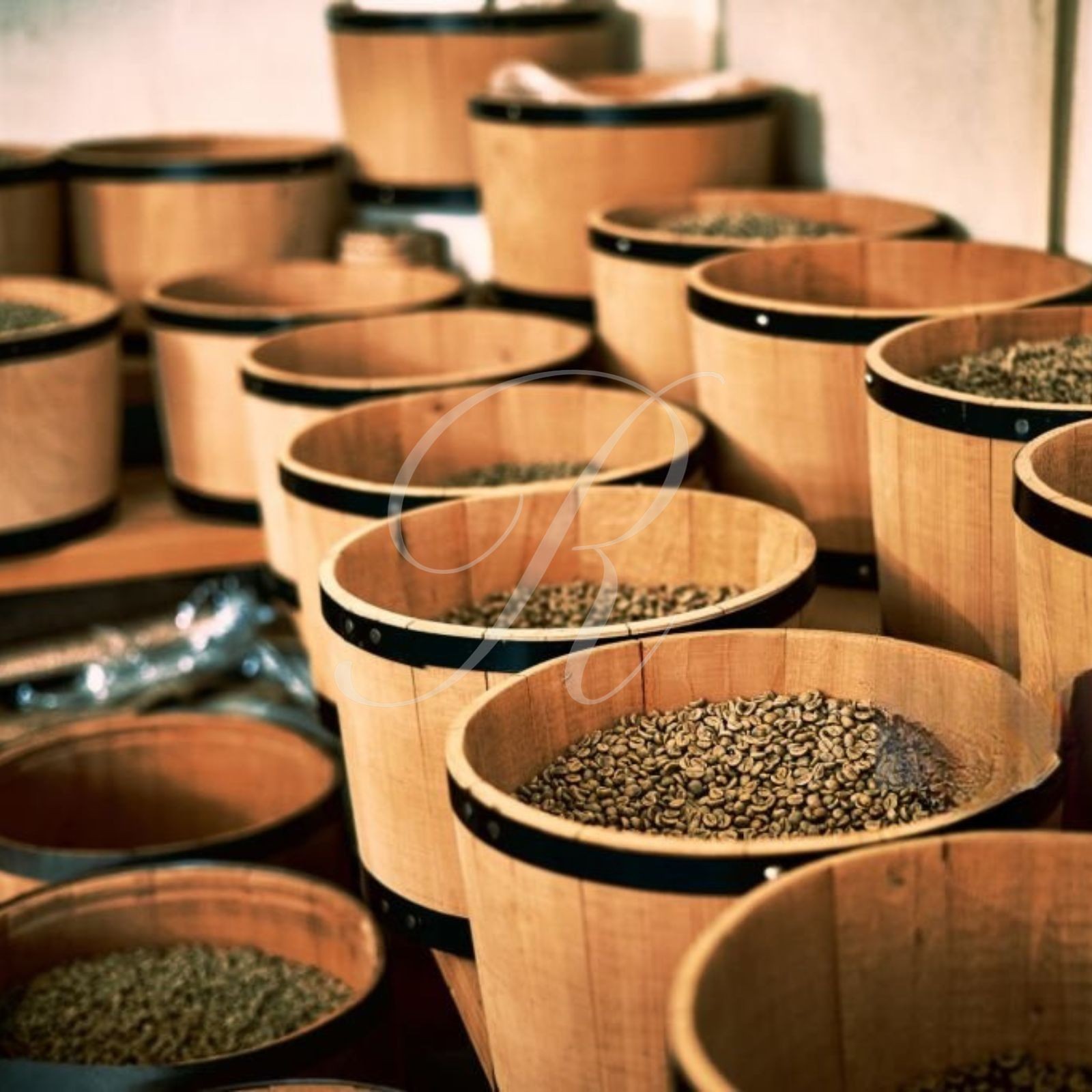 100% JAMAICA BLUE MOUNTAIN COFFEE | CUSTOM ROASTED | 1 – 20 POUNDS IN 1 LB BAGS