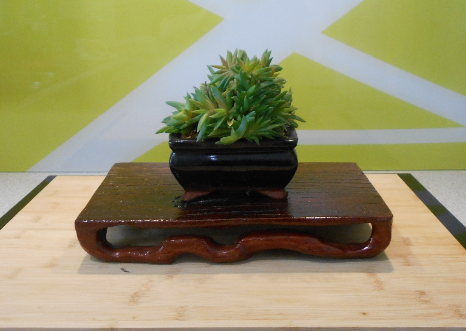 Hand Carved Redgum Bonsai Statue Vase Pedestal Display Stand – 30x19x5cm Lg