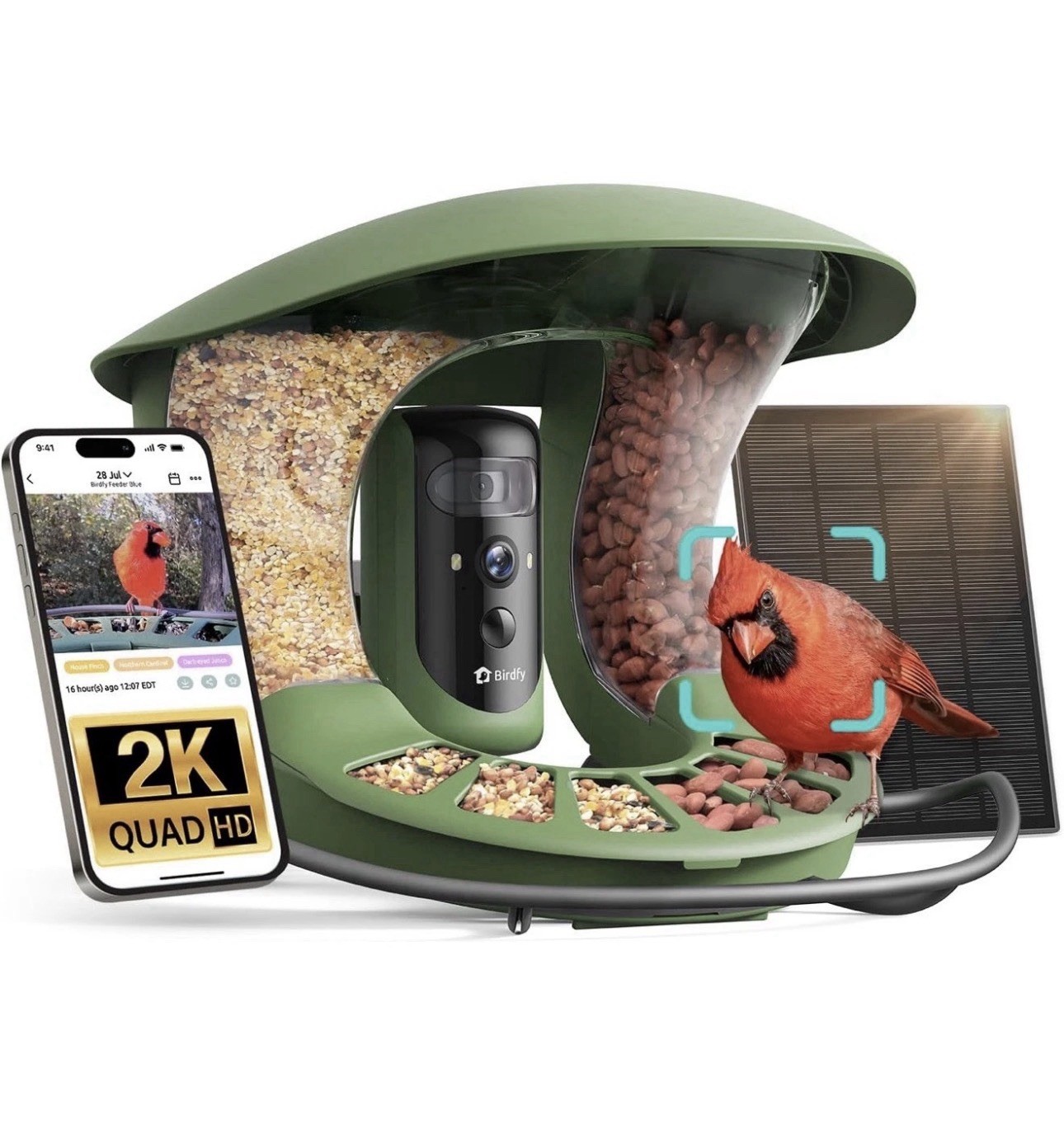 Birdfy Smart Bird Feeder 2 Pro Dual-Lens Camera Solar Powered Green Seed