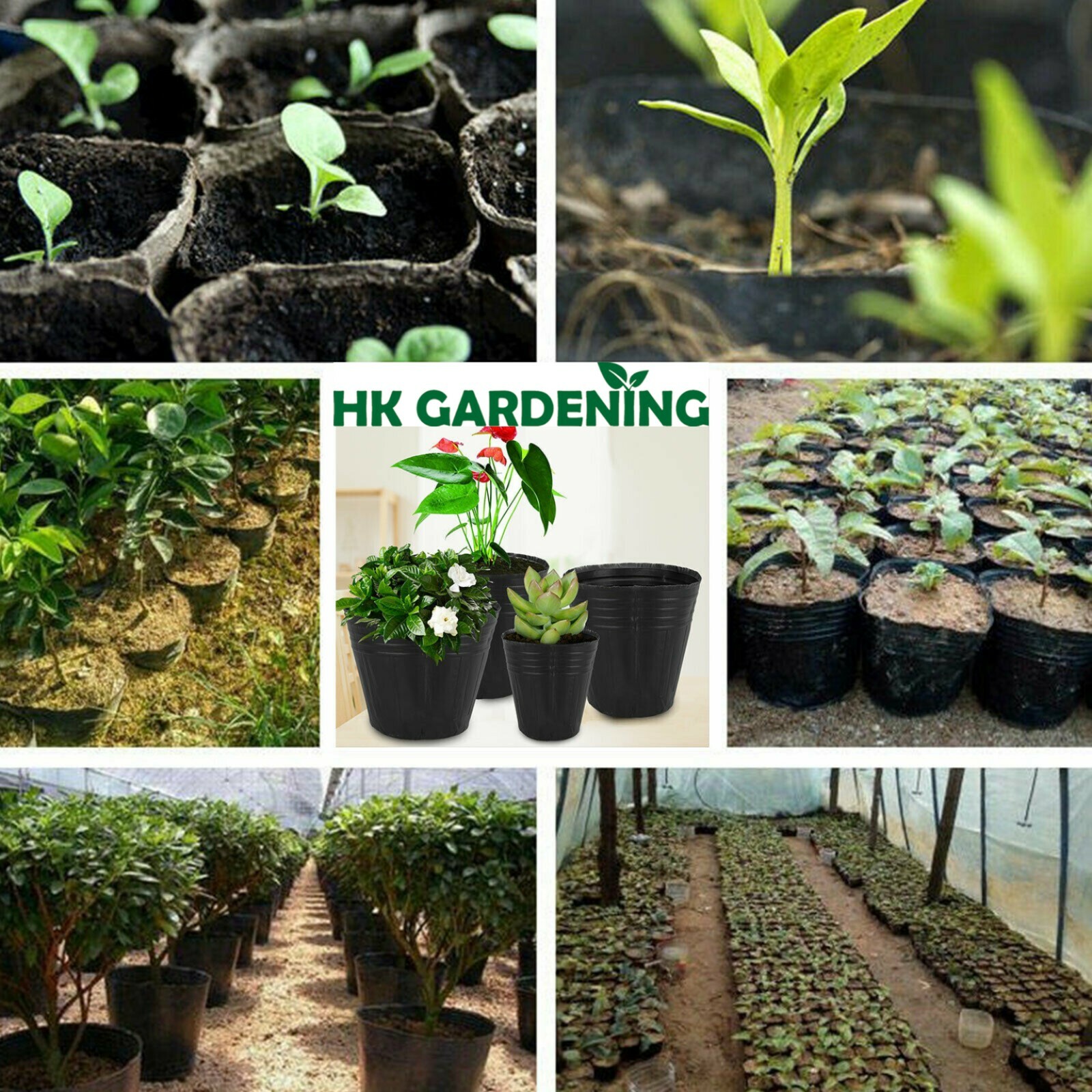 100 pc 8cmx8cm Plant Flower Pots Outdoor Living Garden Nursery Raising Bag