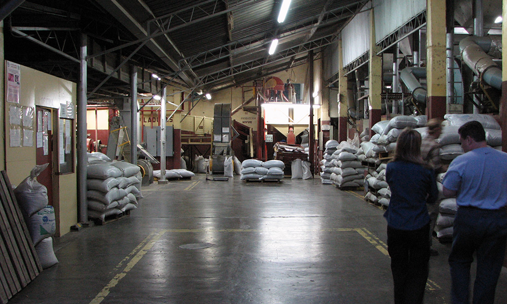 WORLD TOUR FRESH ROASTED COFFEE SAMPLER #2 MEDIUM ROASTED 6 LBS IN ! POUND BAGS