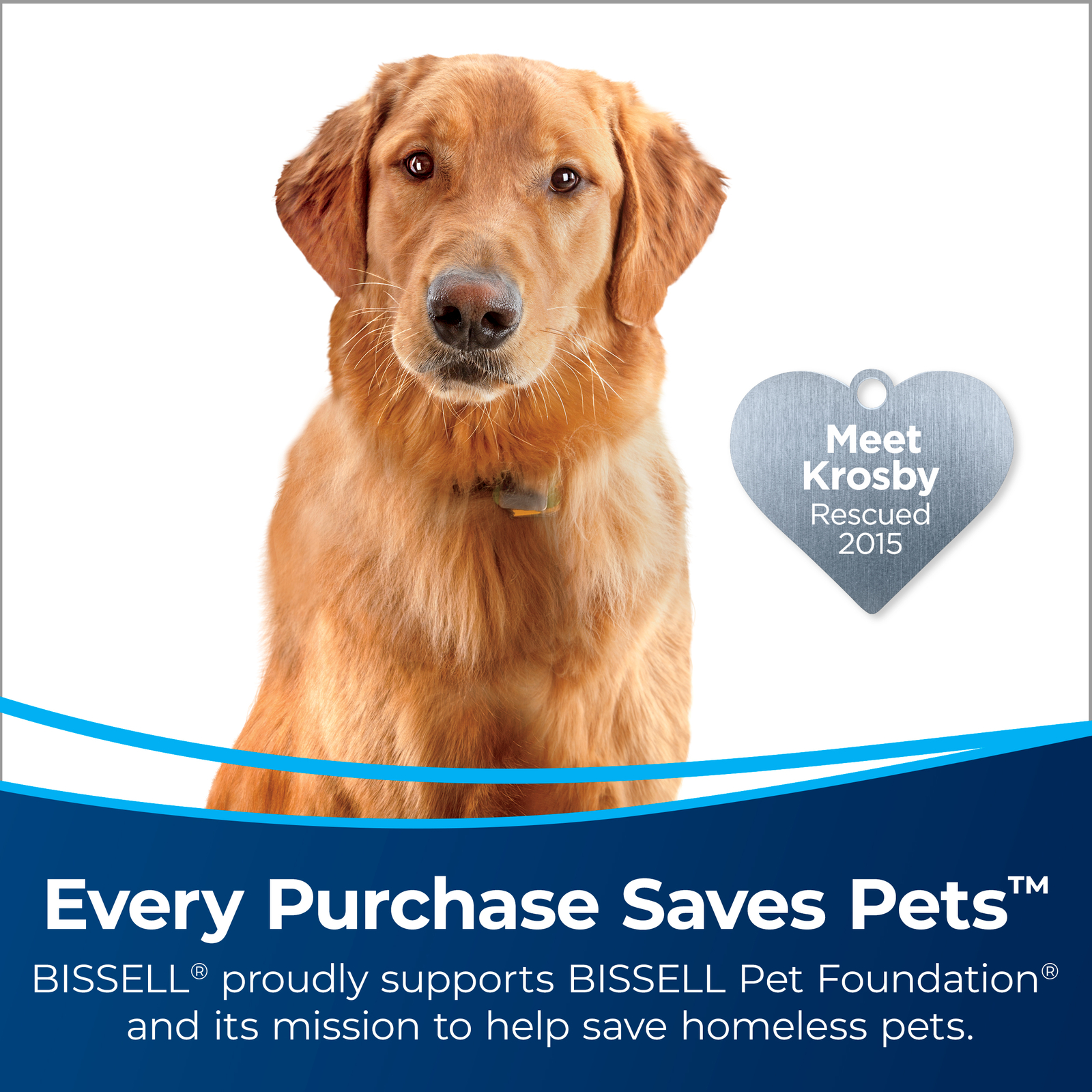 Bissell Garage Pro Wet Dry Exstended Hose Canister Vacuum Cleaner | 18P03 NEW!