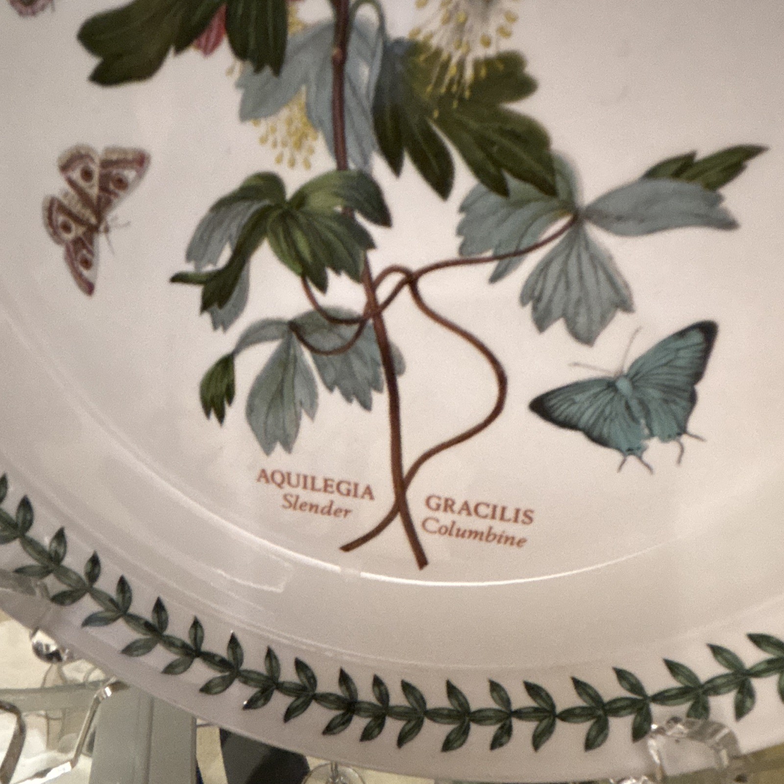 Portmeirion Botanic Garden Dinner Plate Aquilegia Gracilis Slender Columbine