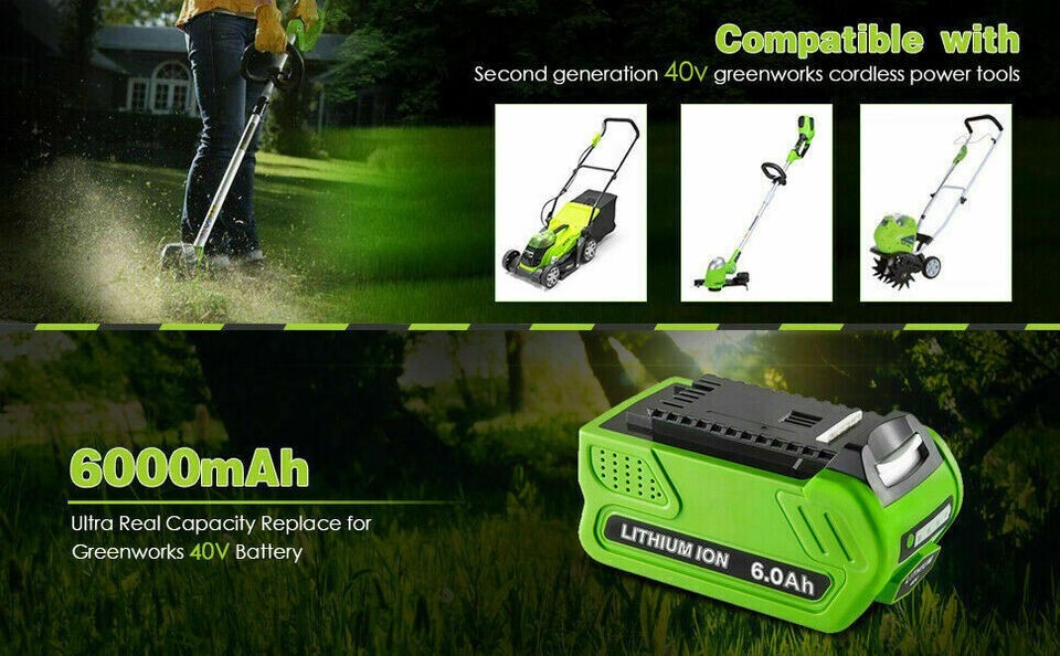 40V 6.0Ah Battery / Rapid Charger For Greenworks 40 Volt Lithium 29482 29252 New