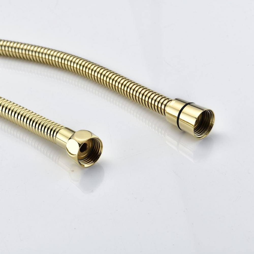 3.5 in. Wall Mount Handheld Shower Head with Hose in Polished Golden