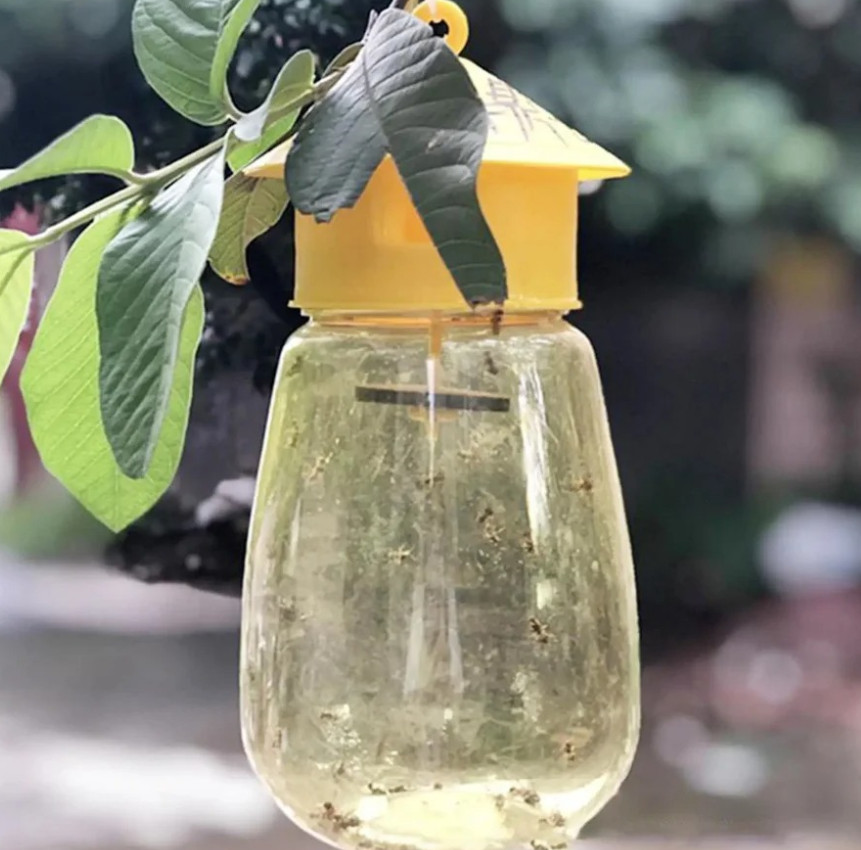 3pcs Fruit Fly & Insect Trap – Outdoor Plastic Hanging Drosophila Killer – NEW