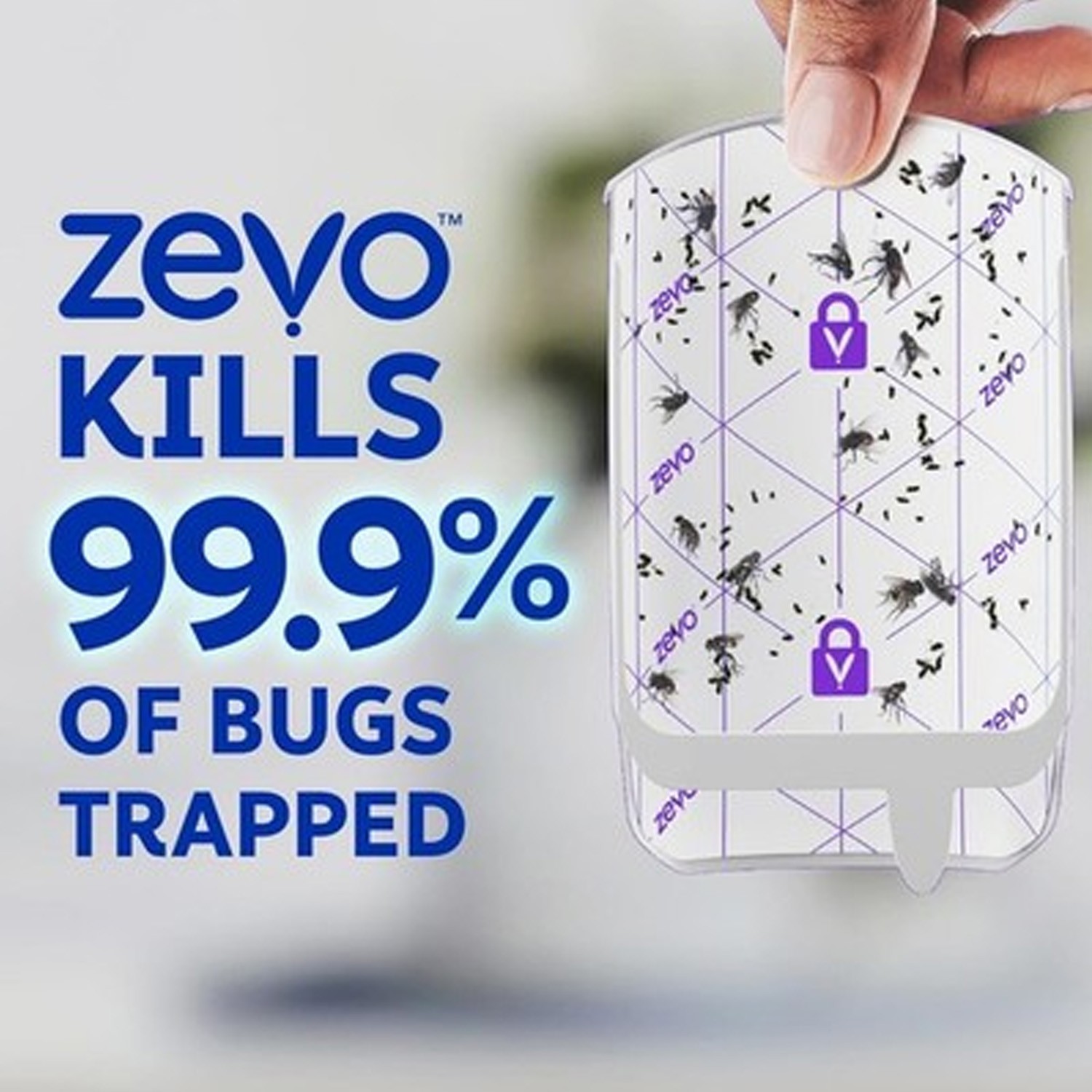 Zevo Flying Insect Trap Refill Cartridges, Bug Trap (60 Refill Cartridges)