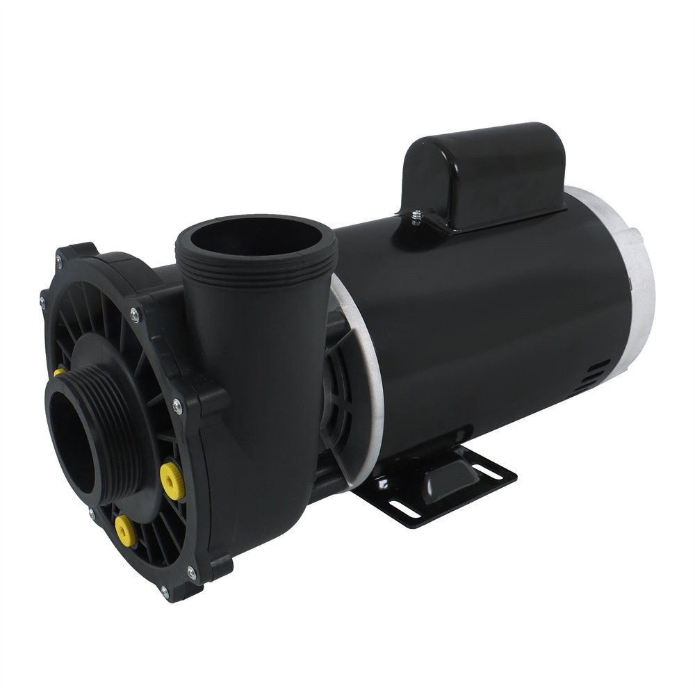 Executive 56-Frame 4HP Dual-Speed Spa Pump, 2in Intake, 2in Discharge