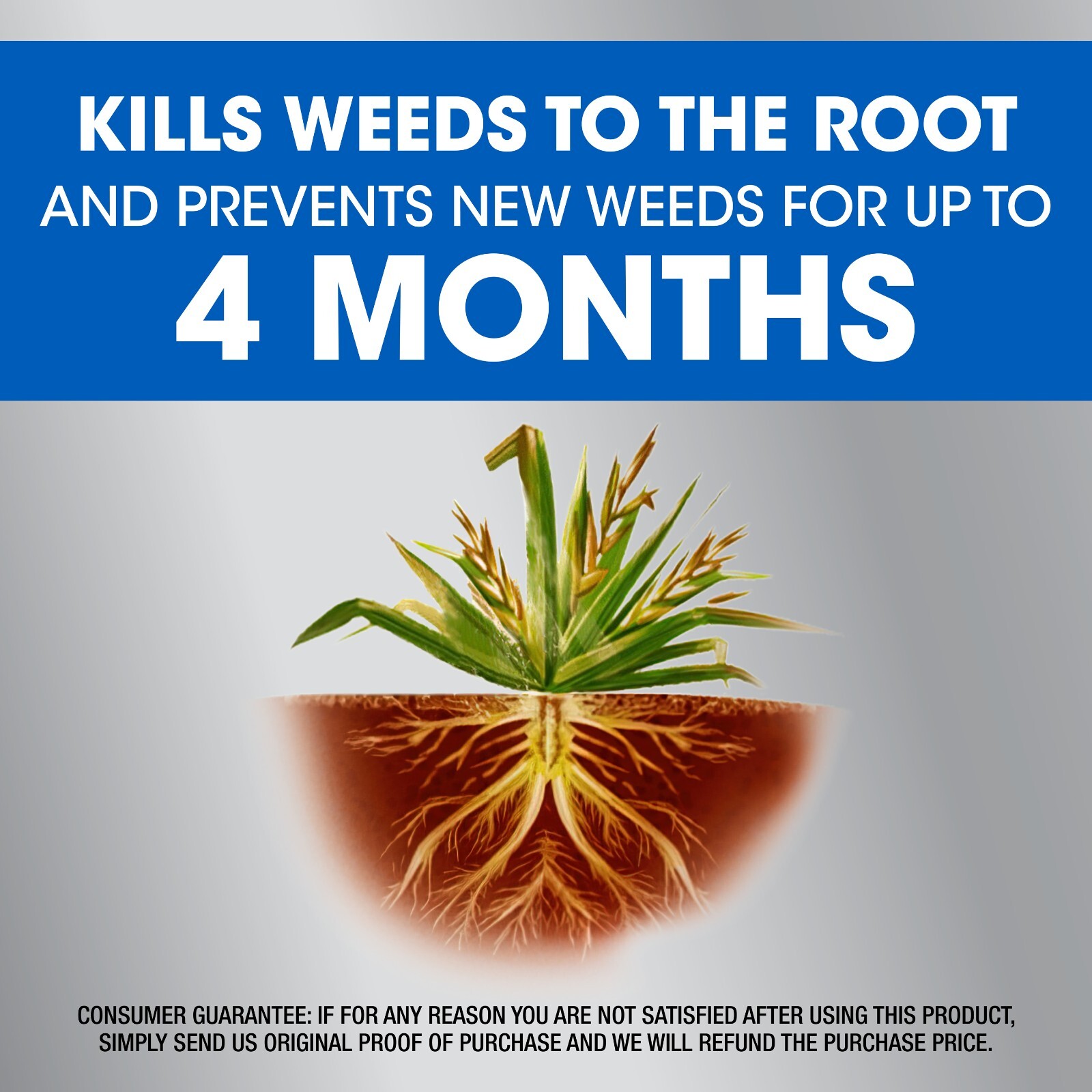 Roundup Dual Action Weed & Grass Killer Plus 4 Month Preventer, 1 gal.