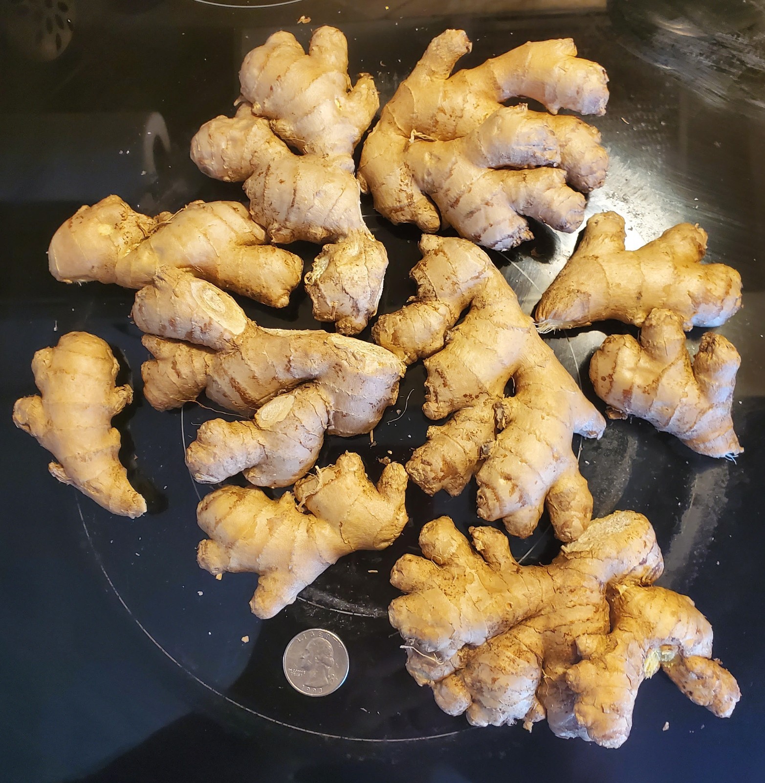Fresh Organic Ginger Root FREE SHIPPING 1lb to 30lb USA Shipper BEST PRICE on Eb