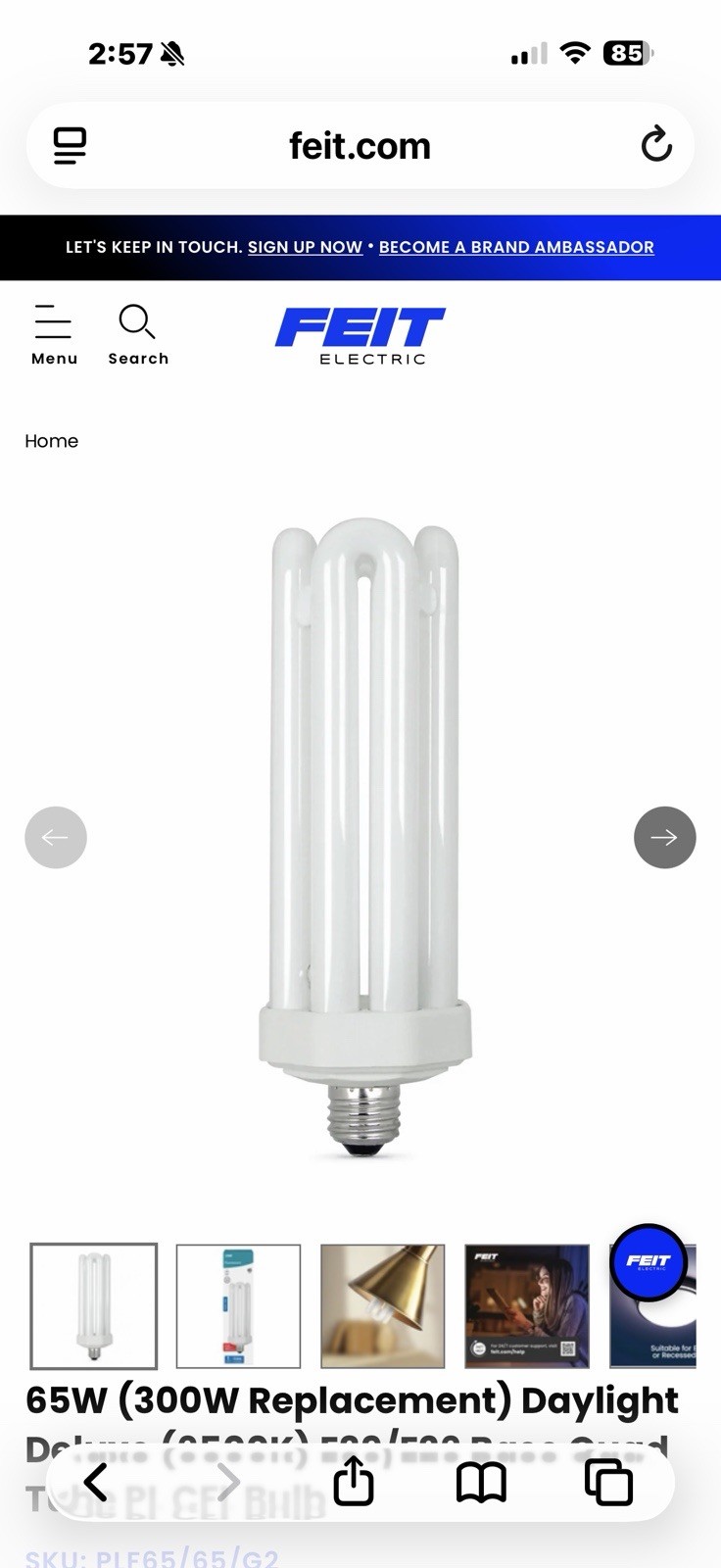 Feit 65 W PL 3.12 in. L CFL Bulb Daylight Utility 6500 K