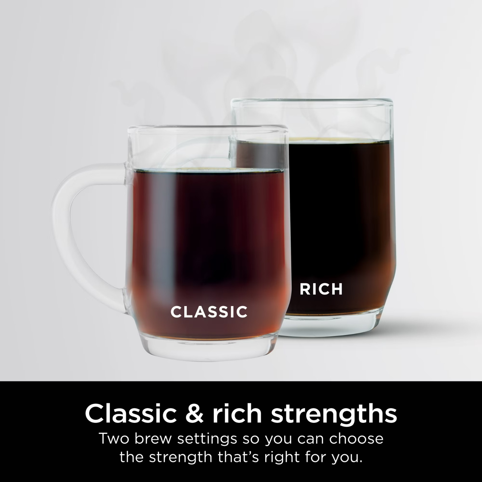 NEW Ninja 12-Cup Programmable Drip Coffee Maker, 2 Brew Styles, Adjustable CE250