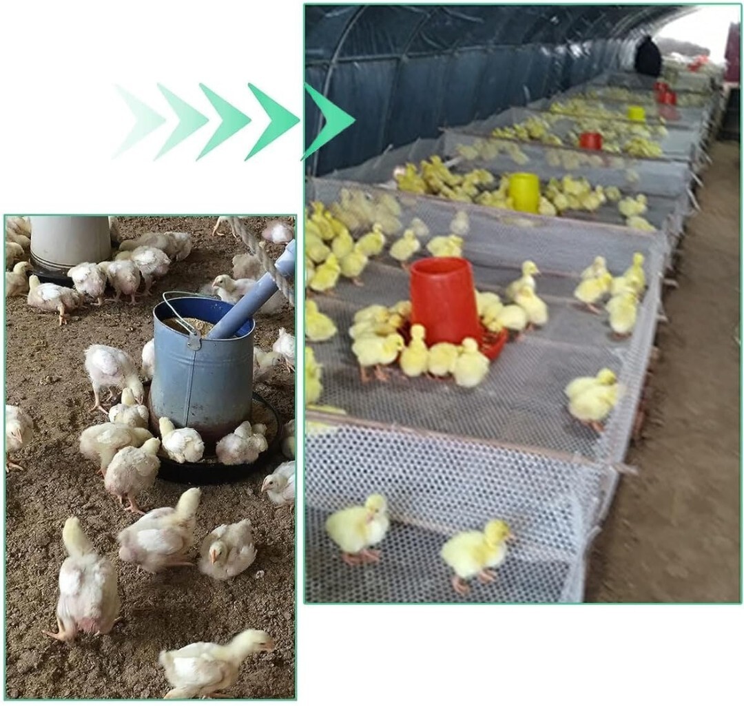ABS Plastic Chicken Wire Mesh- 15.7” X 10ft Lightweight Long Life Non-Toxic