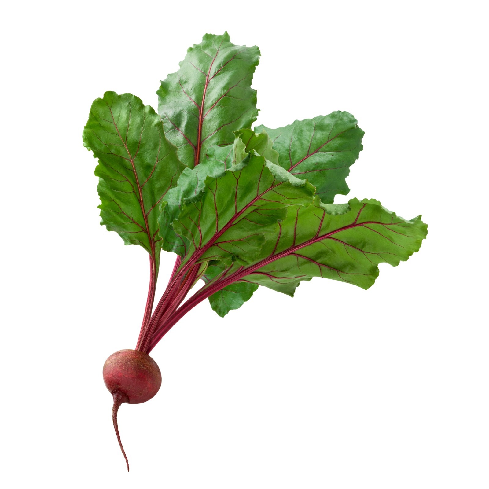 Beet Root Powder (Beta vulgaris) Raw & Non-GMO Superfood Vegan 100% Natural