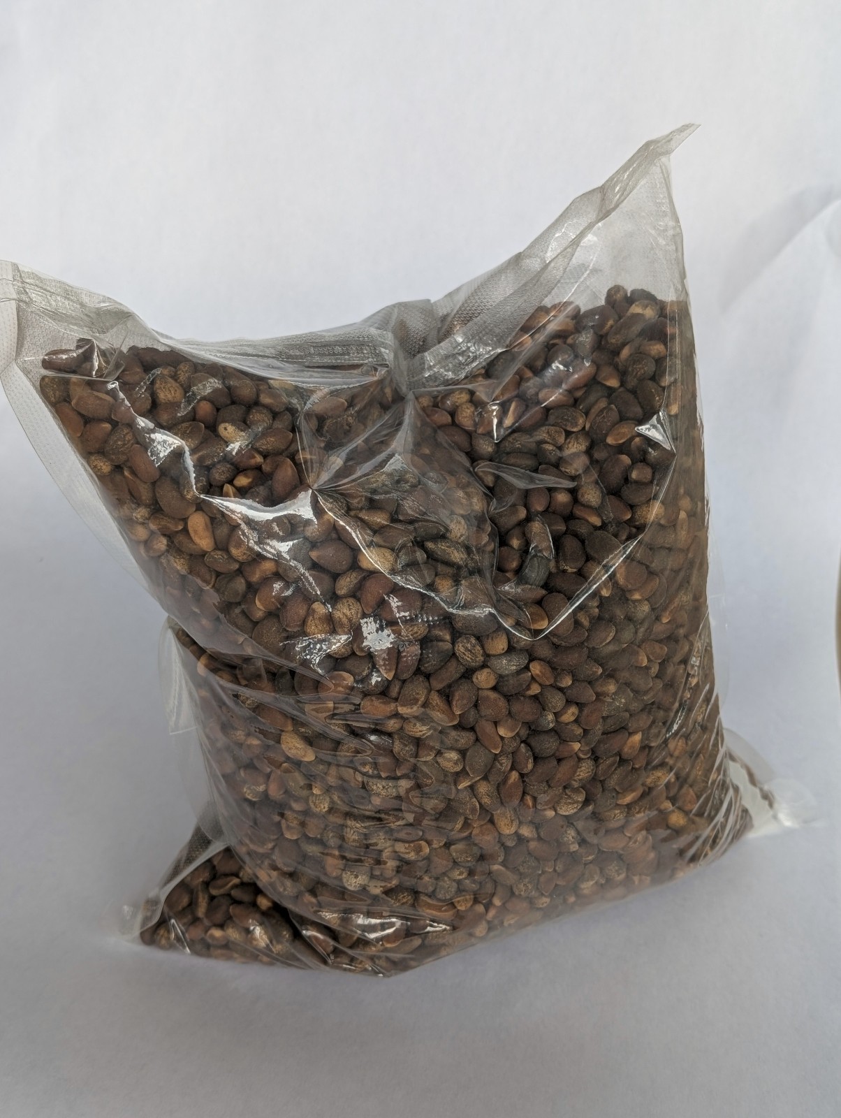 New Mexico Piñon Pine Nuts, 5lbs Raw Pinon | Navajo Nation, Zuni Mountains
