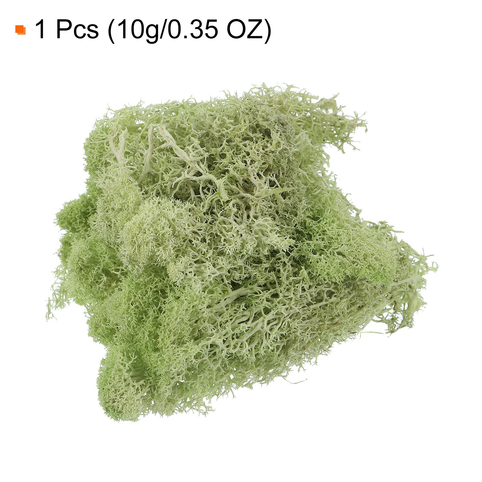 0.35 OZ Moss Preserved Moss Artificial Moss for Craft Floral Chartreuse