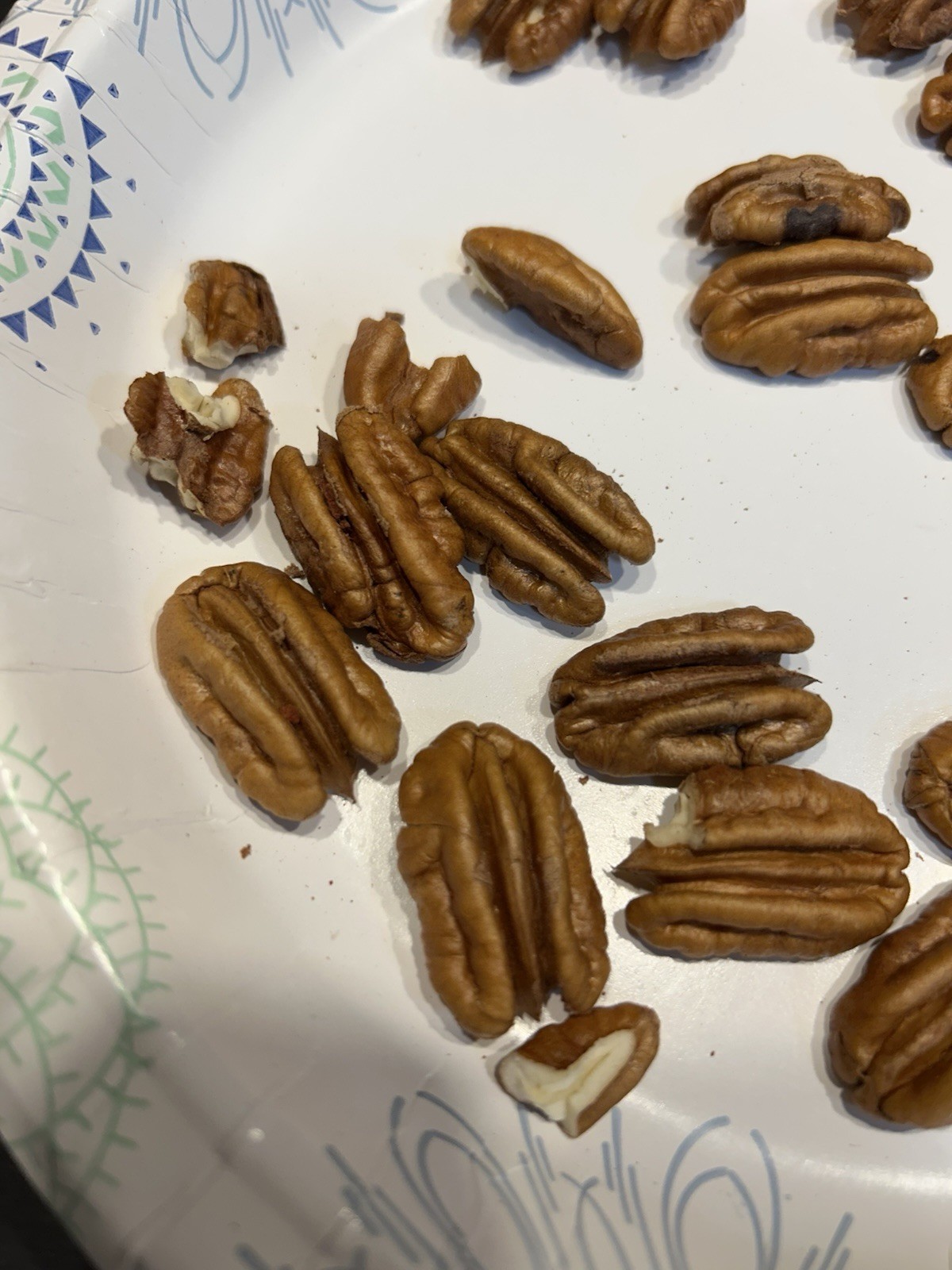 10 Lbs. 2025-2026 Squirrel Grade Pecans In The Shell, Not For Human Consumption