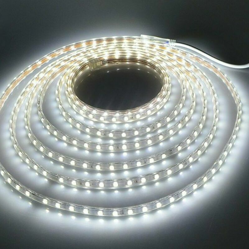 110V 220V 1m-20m Waterproof 5050 LED Flexible Tape Rope Strip Light Xmas Outdoor