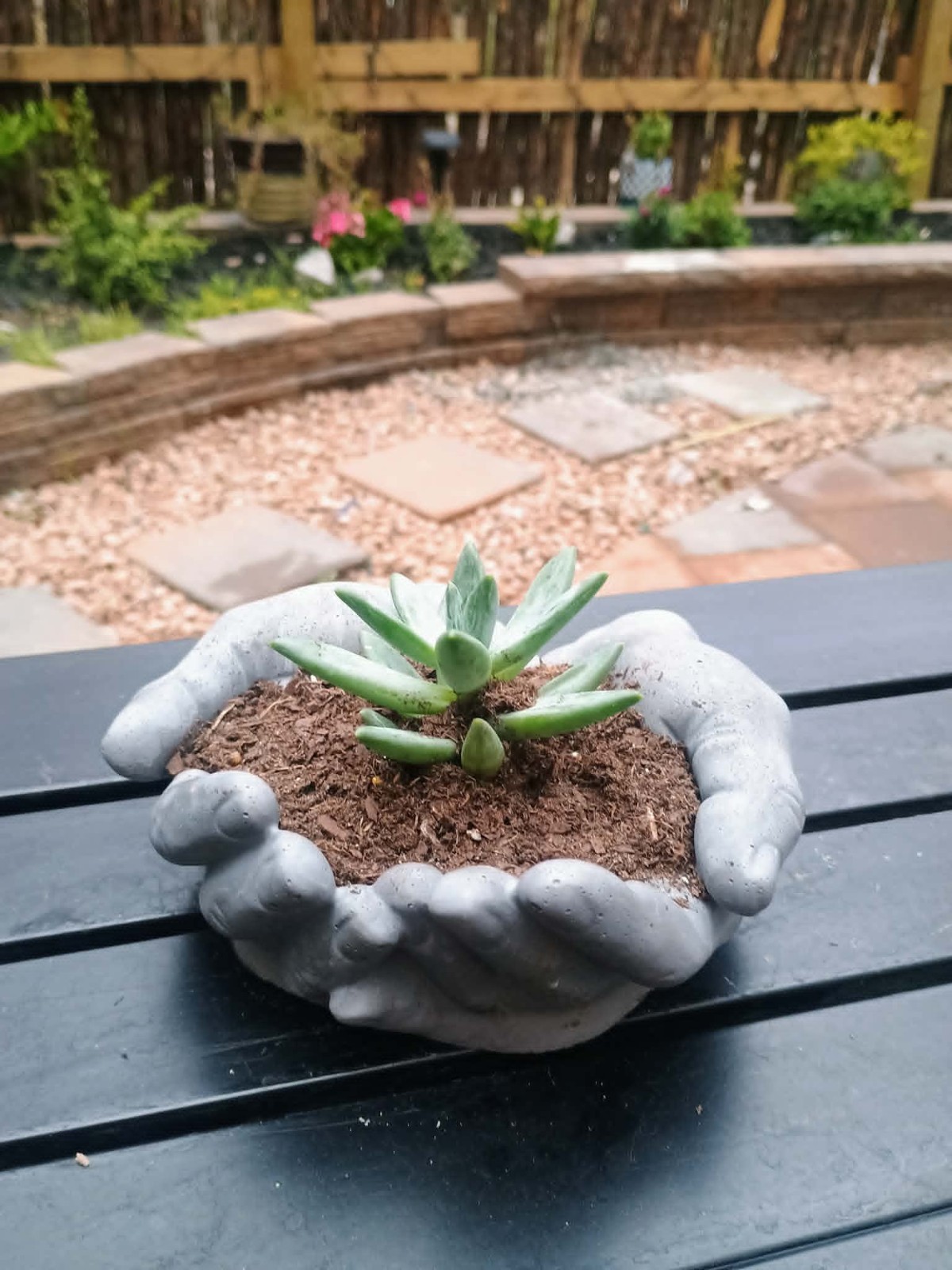 Handmade concrete planter pot – hands 6.1in x 5.9in x 2.7