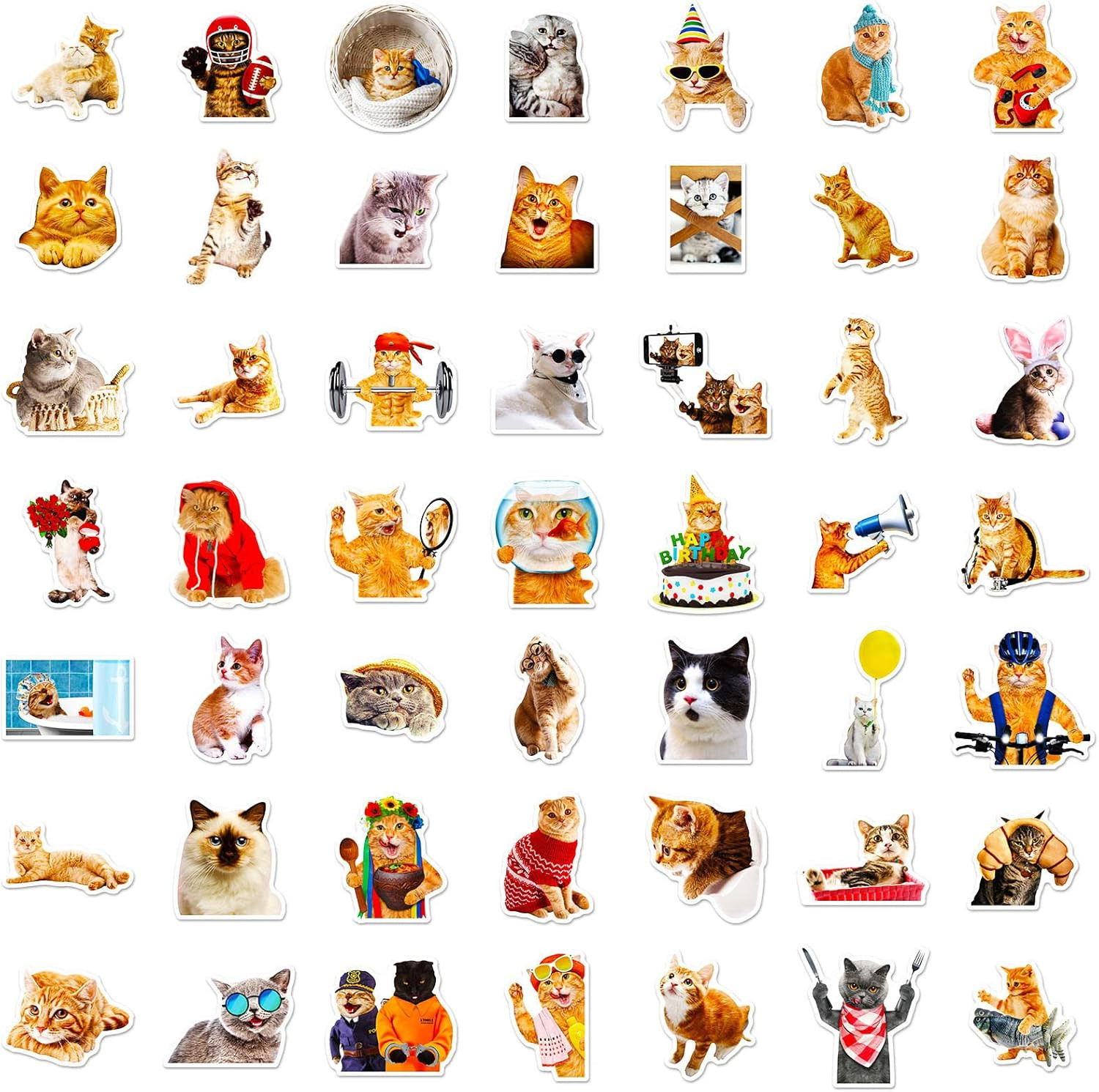 Cat Stickers for Kids Teens Girls Adults, 100 Pcs Cute Cat Stickers, Vinyl Water