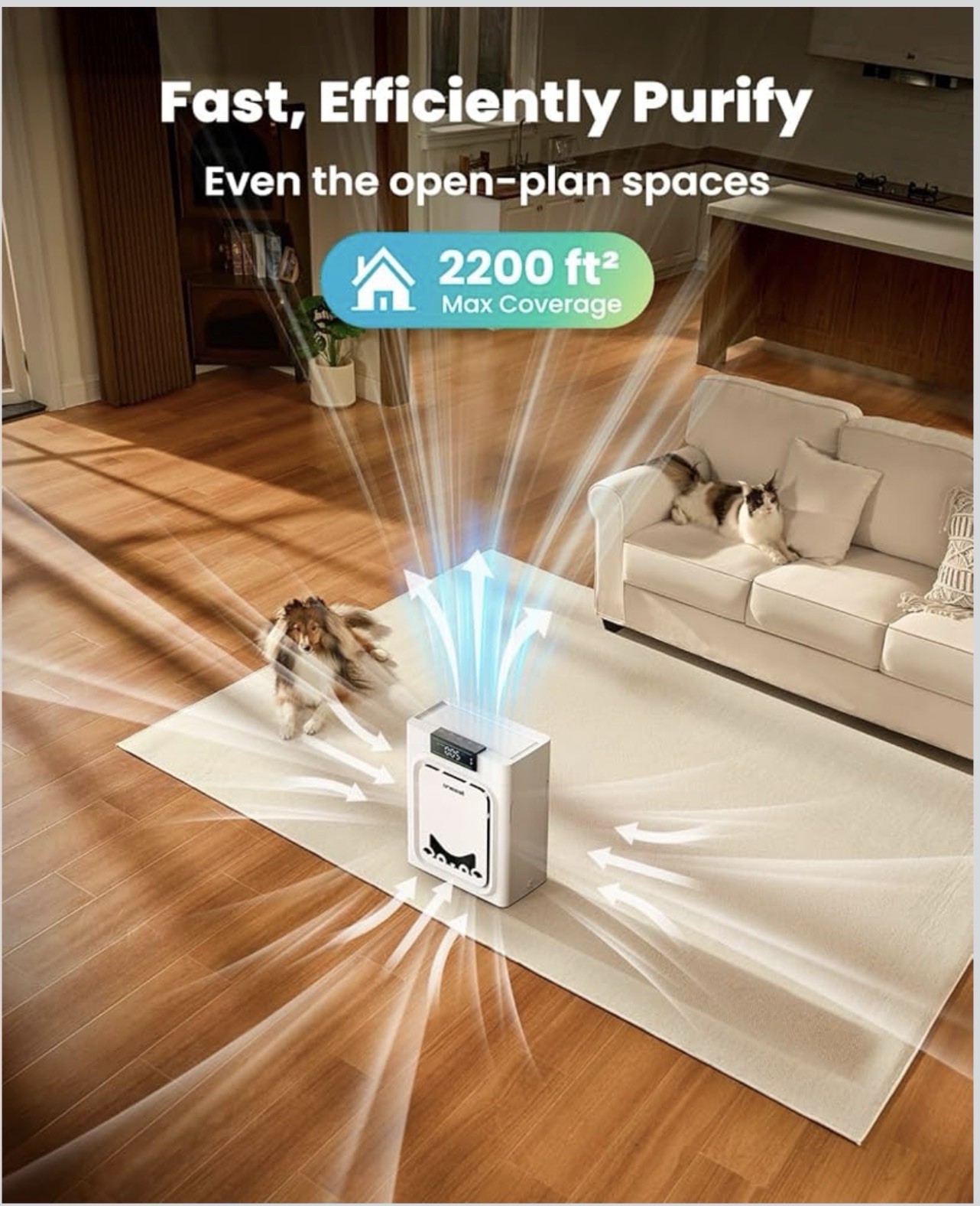 Air Purifiers for Home Pets with Double-Sided HEPA Washable Filters,Large Roo…
