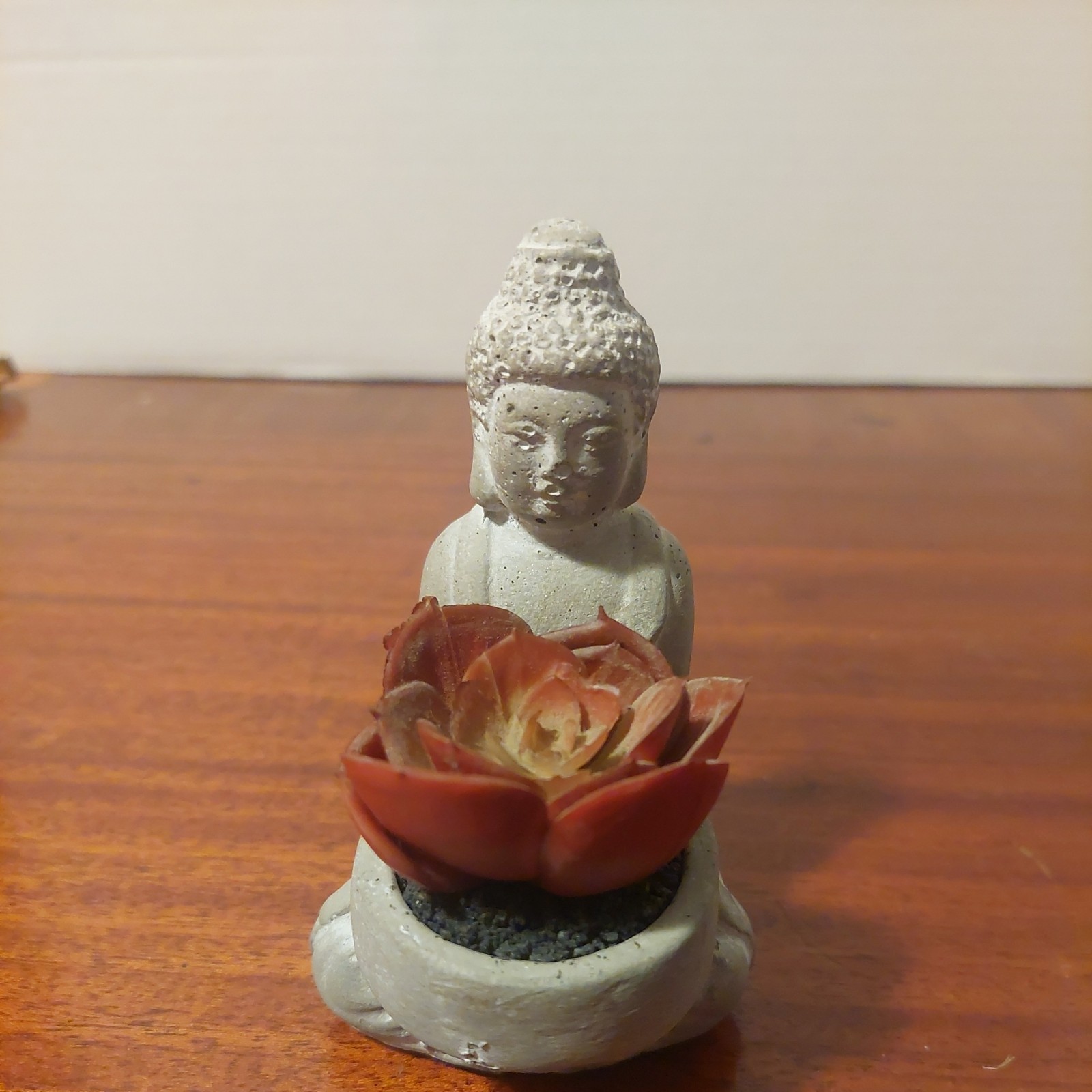 Buddha Statue Gray White Stone Cement Succulent Rocks Office Tabletop Religious