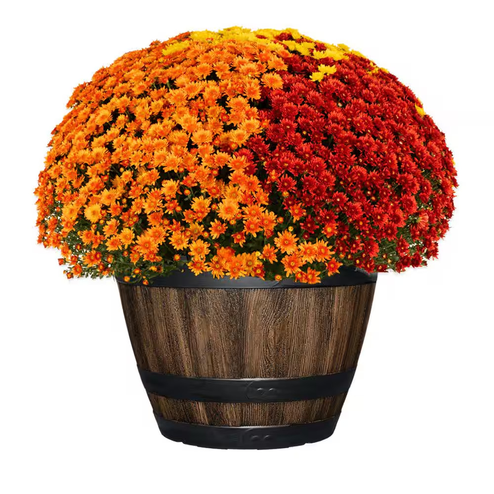 NEW Durable 20in Rustic Brown Resin Barrel Planter Outdoor Decor for Gardens