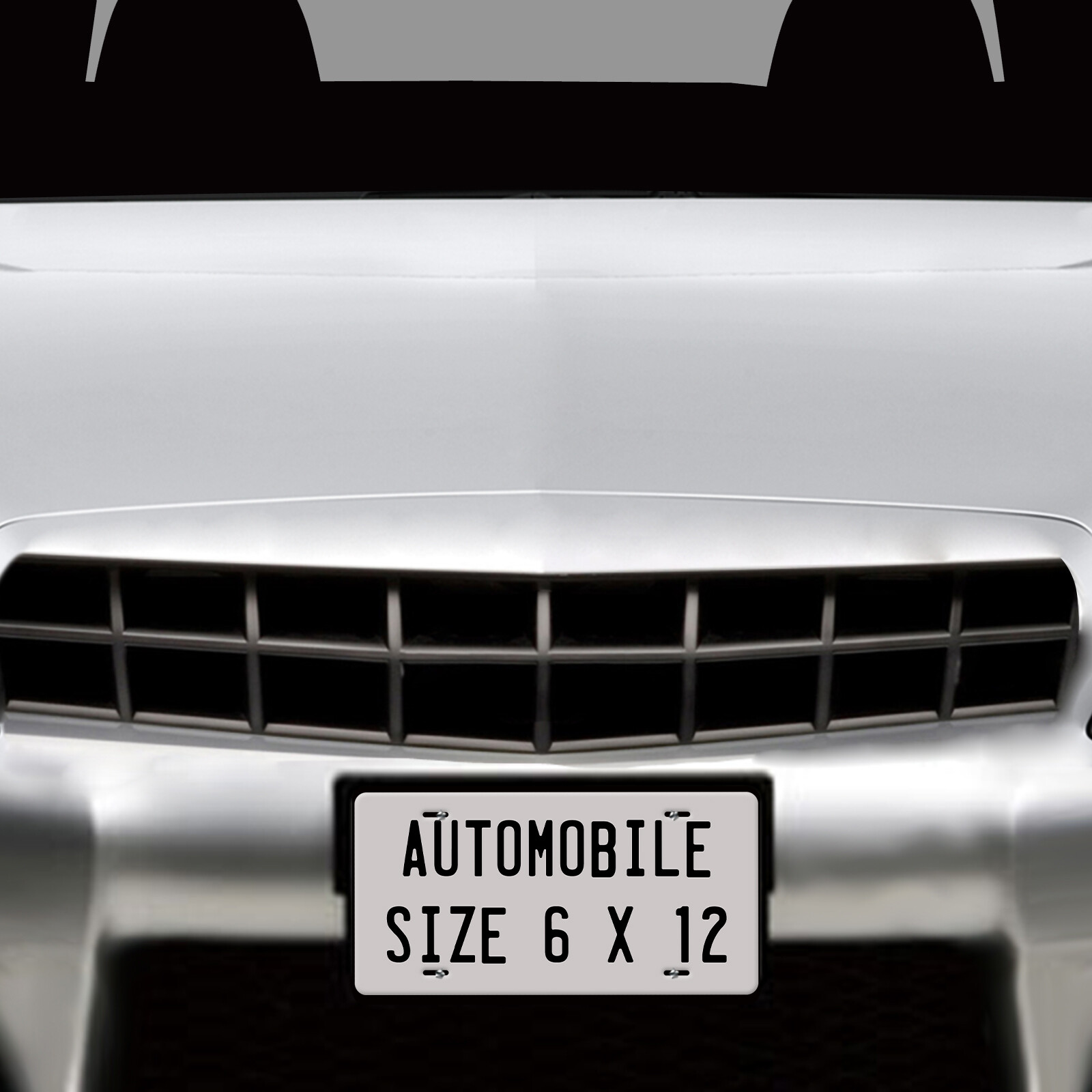 Personalized Custom License Plate Tag for Any State Wall Auto Car Bicycle ATV